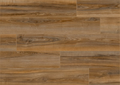 Camsan AURA Lal 8mm AC4/32