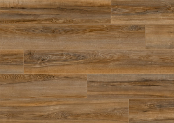 Camsan AURA Lal 8mm AC4/32