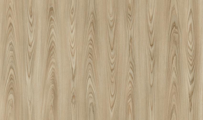 Camsan Exclusive New York 8mm AC4/32