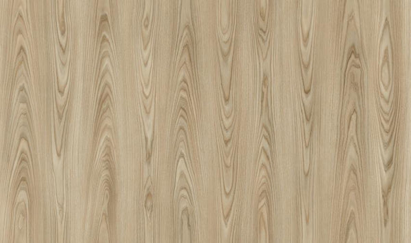 Camsan Exclusive New York 8mm AC4/32