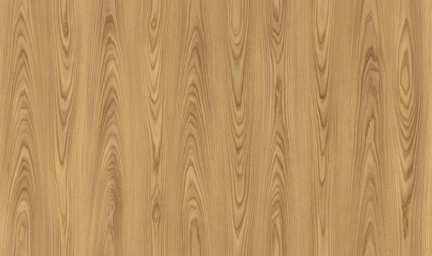 Camsan Exclusive Roma 8mm AC4/32