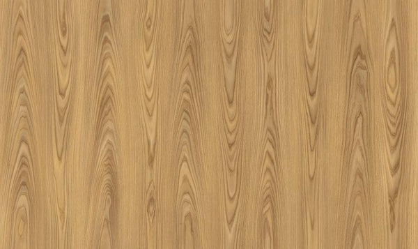 Camsan Exclusive Roma 8mm AC4/32