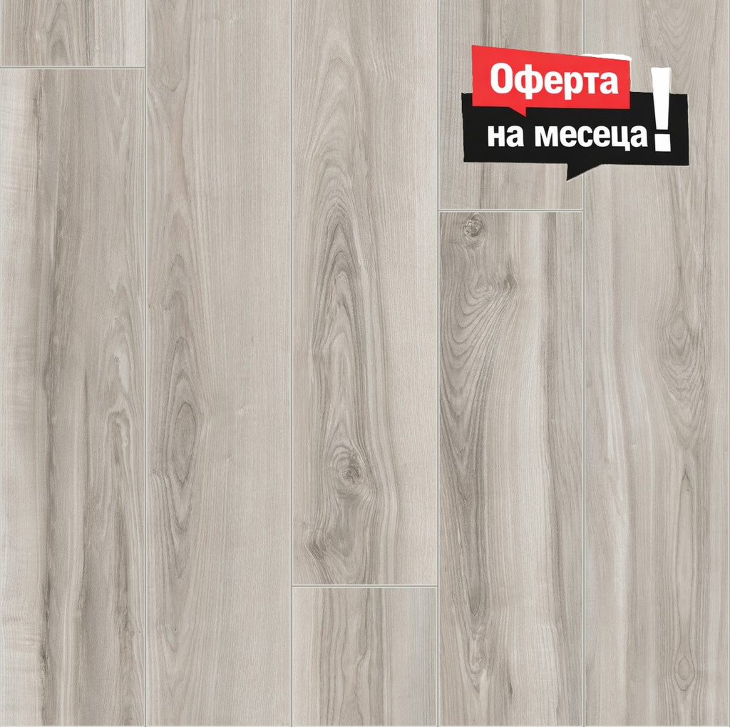 Camsan AURA Sedef 8mm AC4/32