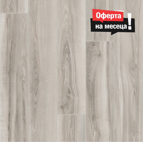 Camsan AURA Sedef 8mm AC4/32