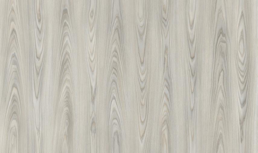 Camsan Exclusive Tokyo 8mm AC4/32