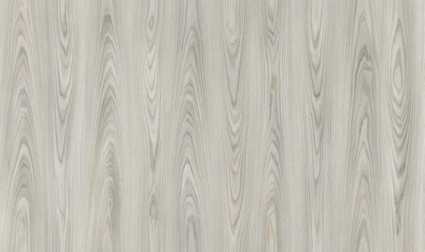 Camsan Exclusive Tokyo 8mm AC4/32